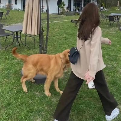 秀色雄心